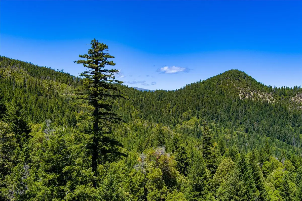 000 Forest Rte 4n20 Road, Hyampom, CA 96046 - #1
