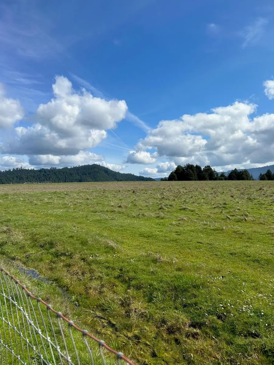 720 Dinsmore Ranch Road, Rio Dell, CA 95562 - #3