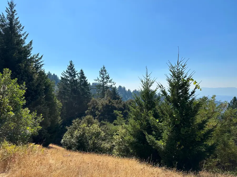 4840 Doody Ridge Road, Garberville, CA 95542 - #2