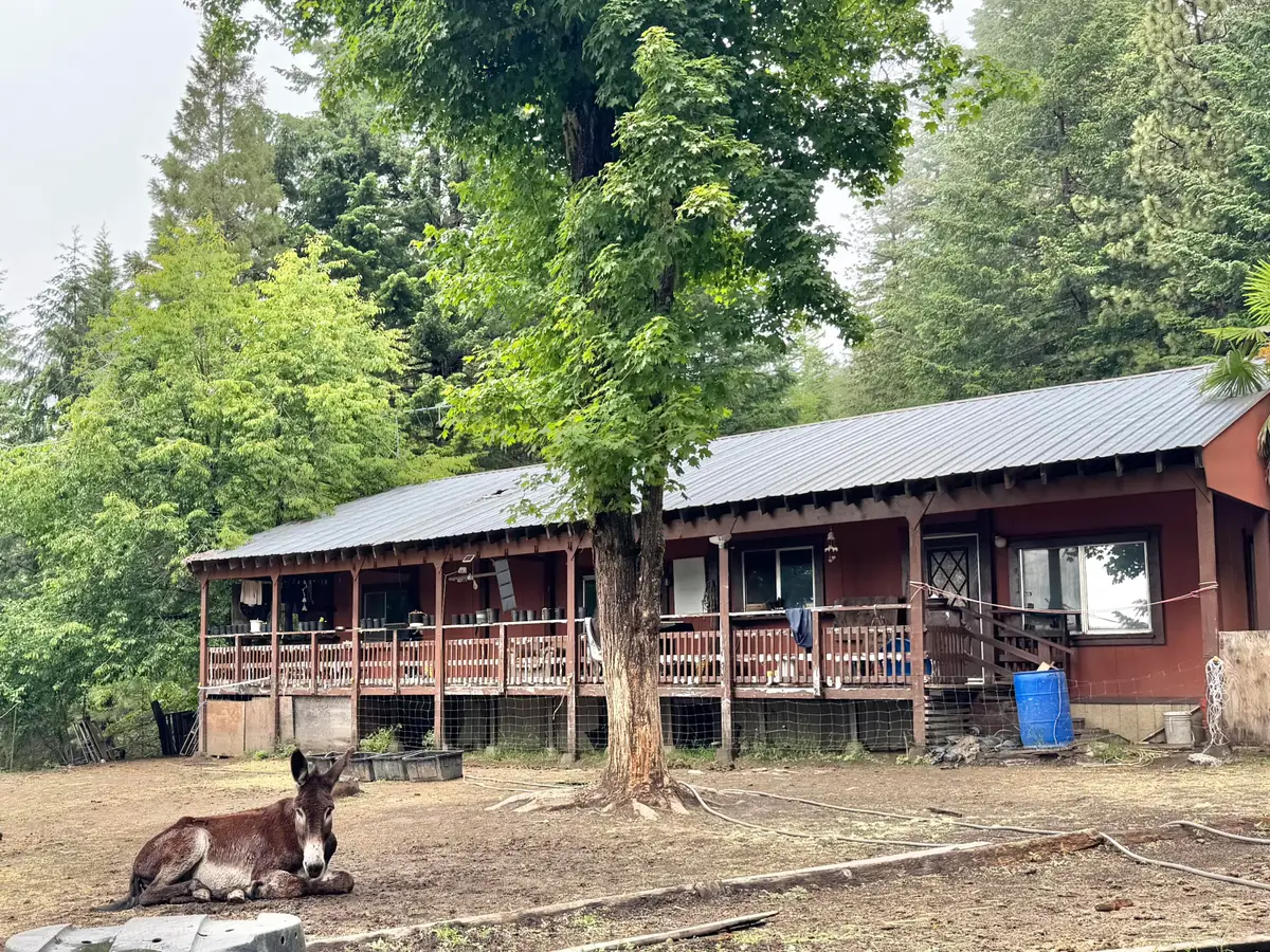 12575 Buck Mountain Road, Bridgeville, CA 95526 - #1