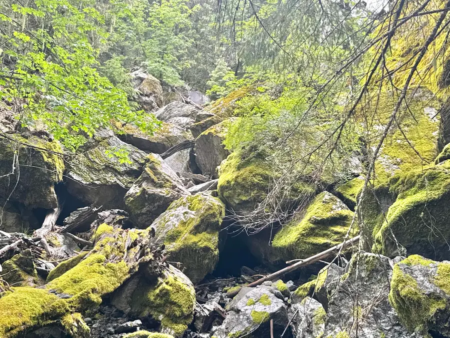 12575 Buck Mountain Road, Bridgeville, CA 95526 - #3