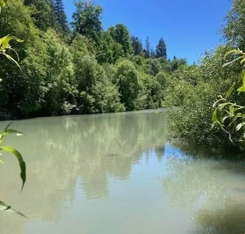 1181 Sanicula Road, Mad River, CA 95552 - #1
