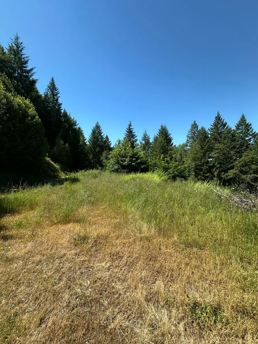 28100 St Hwy 299 299, Blue Lake, CA 95525 - #2