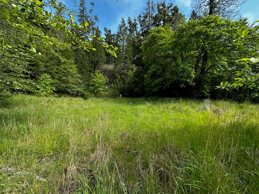 7923 Thomas Road, Miranda, CA 95553 - #3