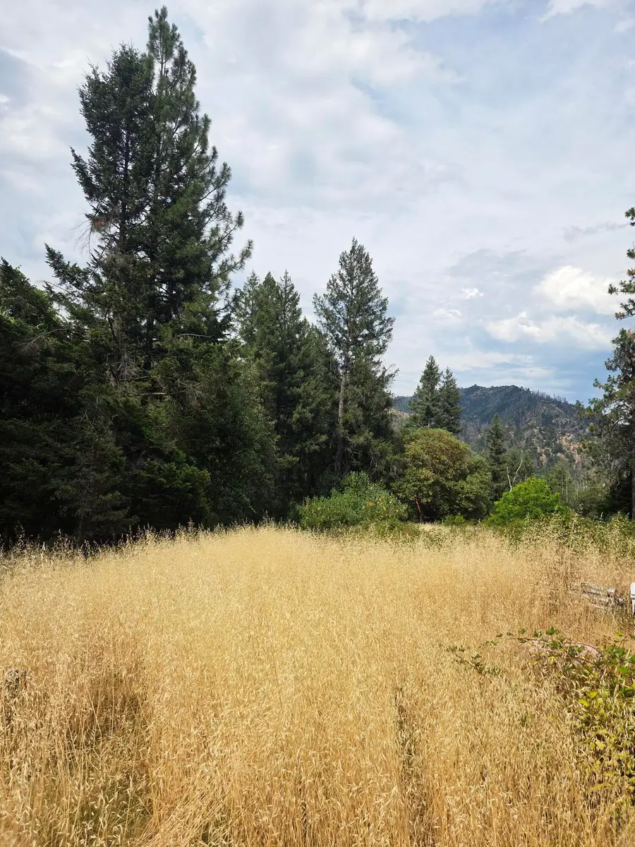 32 Deadwood Court, Big Bar, CA 96010 - #3
