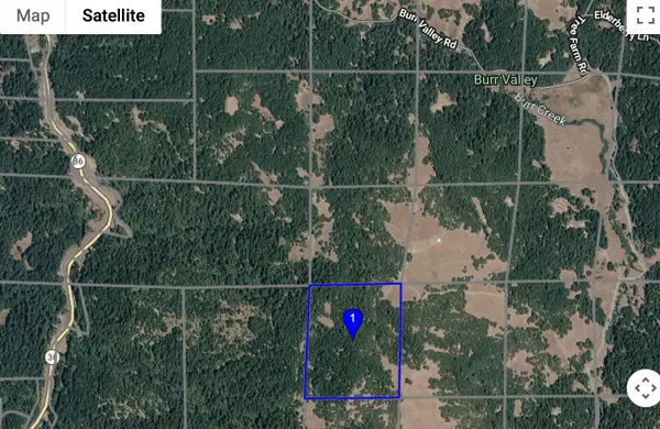 Apn 210-231-014 (burr Valley) Road, Bridgeville, CA 95526