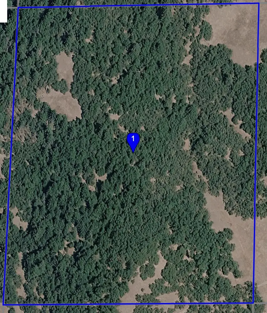 Apn 210-231-014 (burr Valley) Road, Bridgeville, CA 95526 - #2