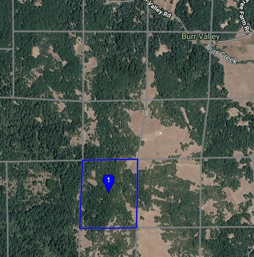 Apn 210-231-014 (burr Valley) Road, Bridgeville, CA 95526 - #3