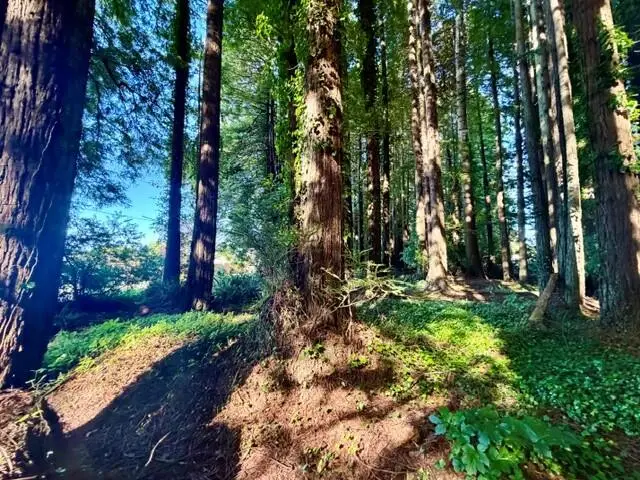 025 Moore Avenue, Eureka, CA 95501 - #3