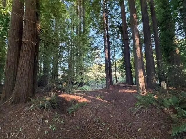 026 Moore Avenue, Eureka, CA 95501 - #2