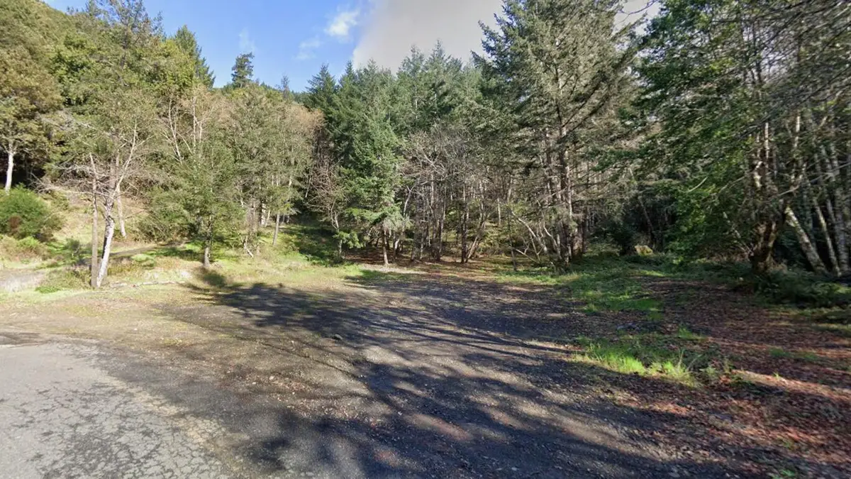 1091 Telegraph Creek Road, Shelter Cove, CA 95589 - #1