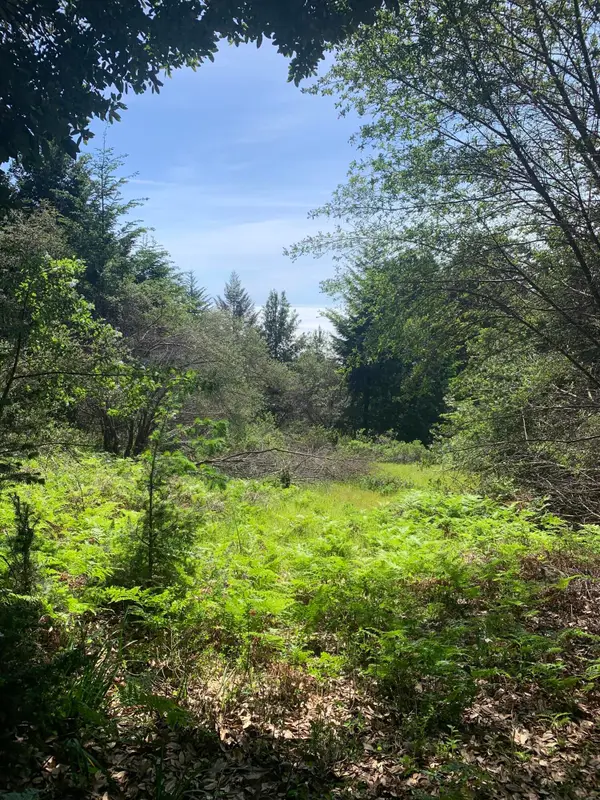 454 & 476 Forest Road, Shelter Cove, CA 95589