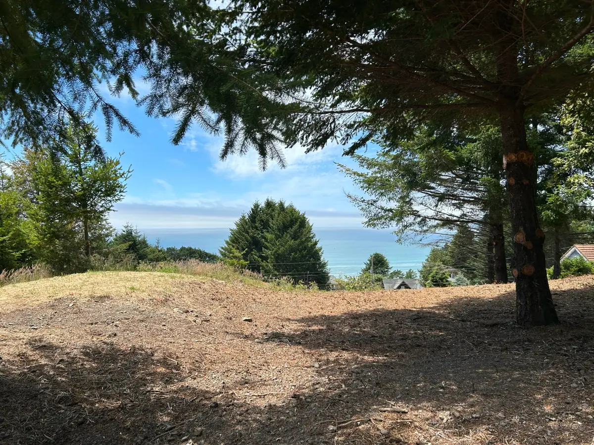 542 & 554 Ridge Road, Shelter Cove, CA 95589 - #1