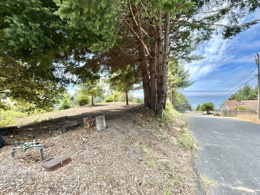 542 & 554 Ridge Road, Shelter Cove, CA 95589 - #2