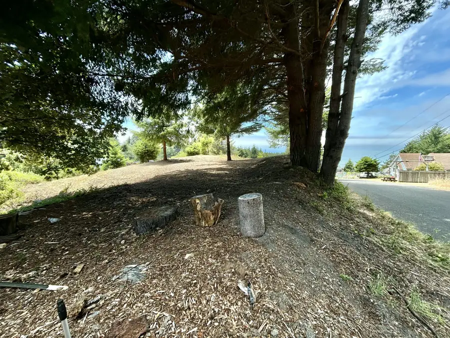 542 & 554 Ridge Road, Shelter Cove, CA 95589 - #3