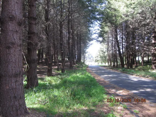 52 Madrone Road, Shelter Cove, CA 95589 - #3