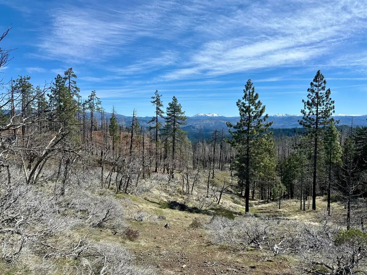4050 Zenia Lake Mountain Road, Zenia, CA 95595 - #1