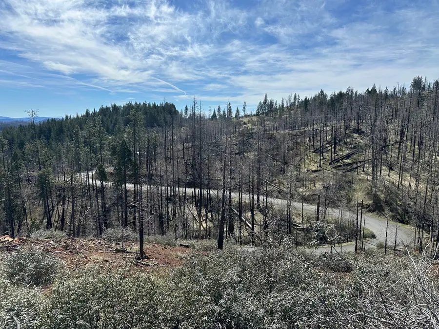 4050 Zenia Lake Mountain Road, Zenia, CA 95595 - #3