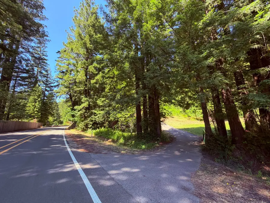 13059 Avenue Of The Giants 254, Myers Flat, CA 95554 - #2