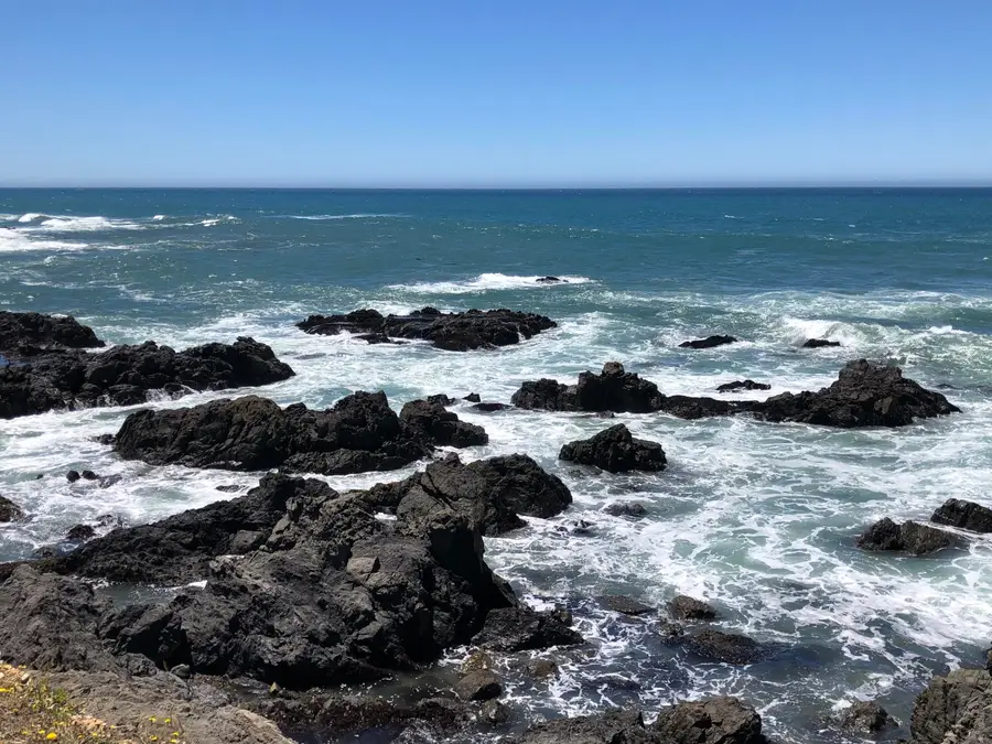 883 Lower Pacific Drive, Shelter Cove, CA 95589 - #2