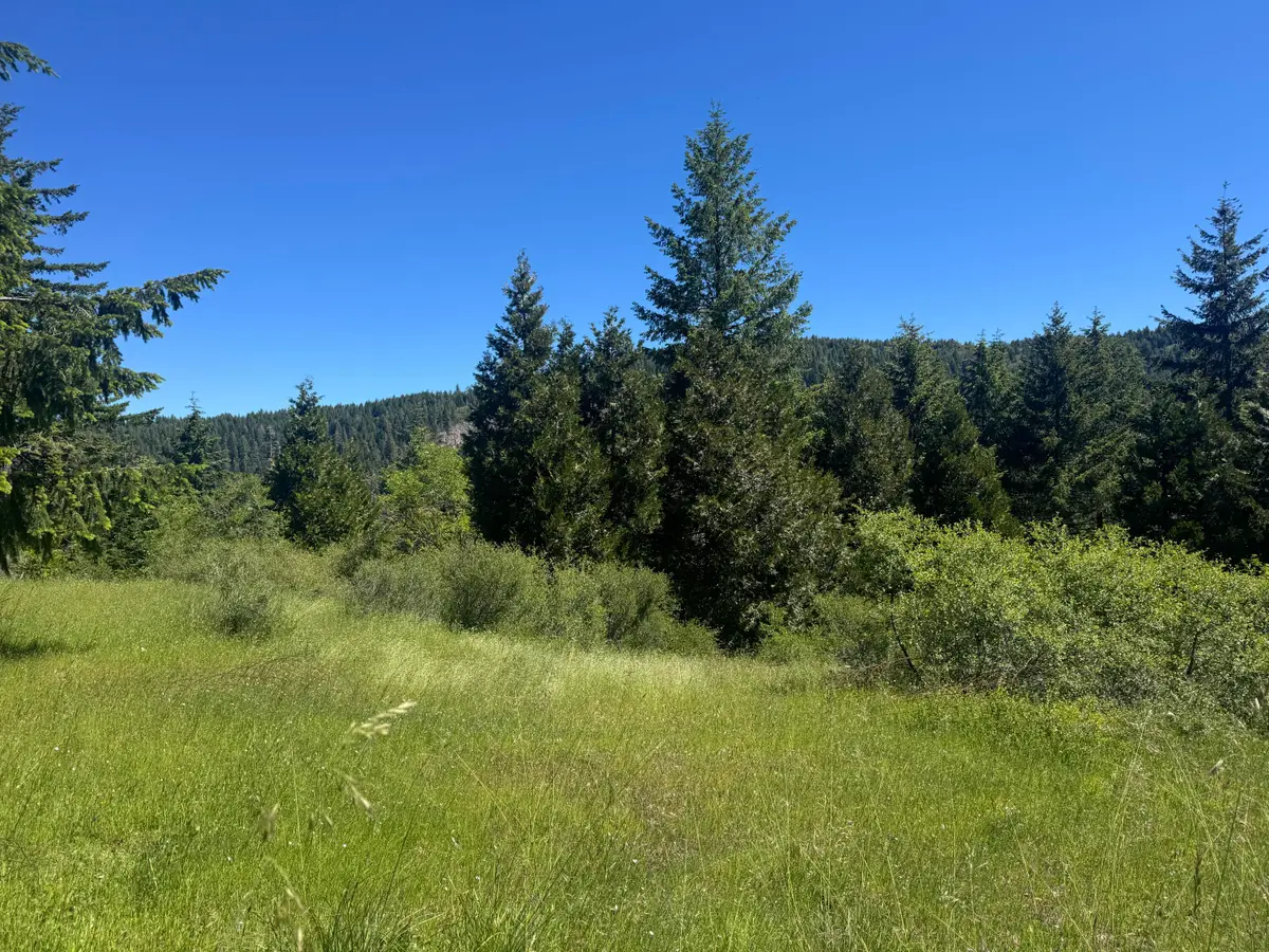 40 Acres Snow Camp Road, Blue Lake, CA 95525 - #1