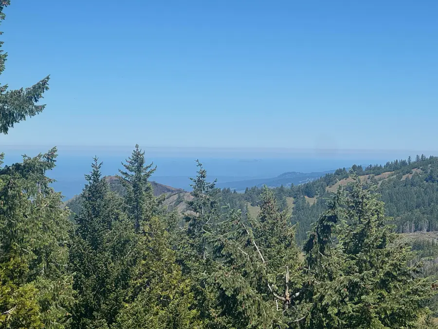 40 Acres Snow Camp Road, Blue Lake, CA 95525 - #3