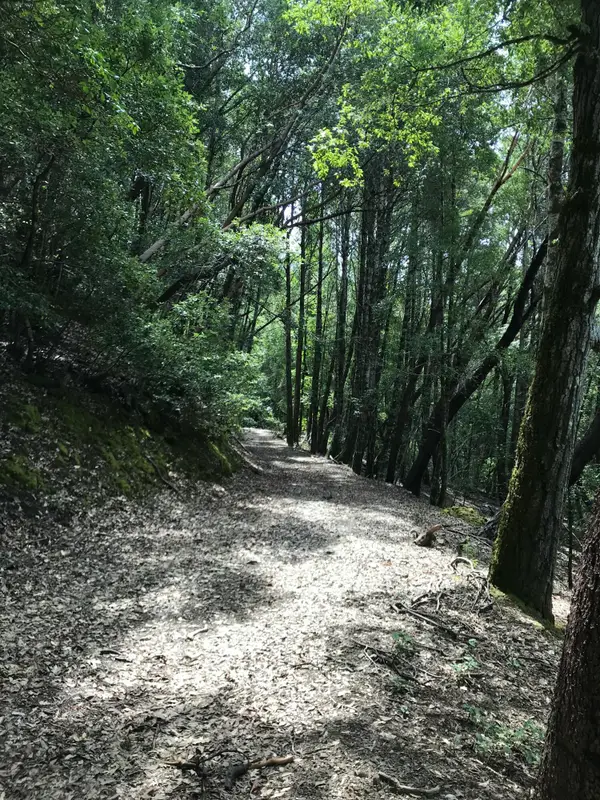 17+/-Acres Dugins Mill Road, Garberville, CA 95542