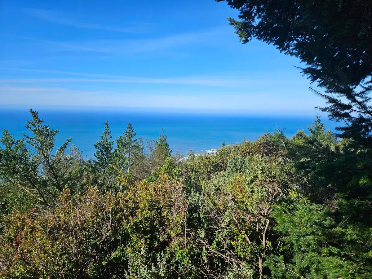 286 Blueridge Road, Whitethorn, CA 95589 - #1