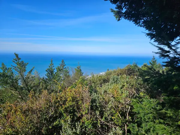 286 Blueridge Road, Whitethorn, CA 95589