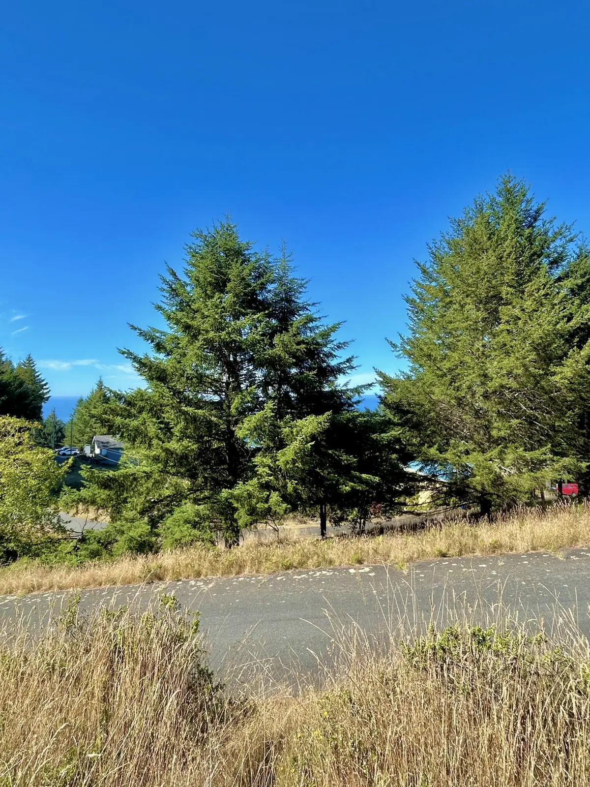 45 Vista Road, Shelter Cove, CA 95589 - #1