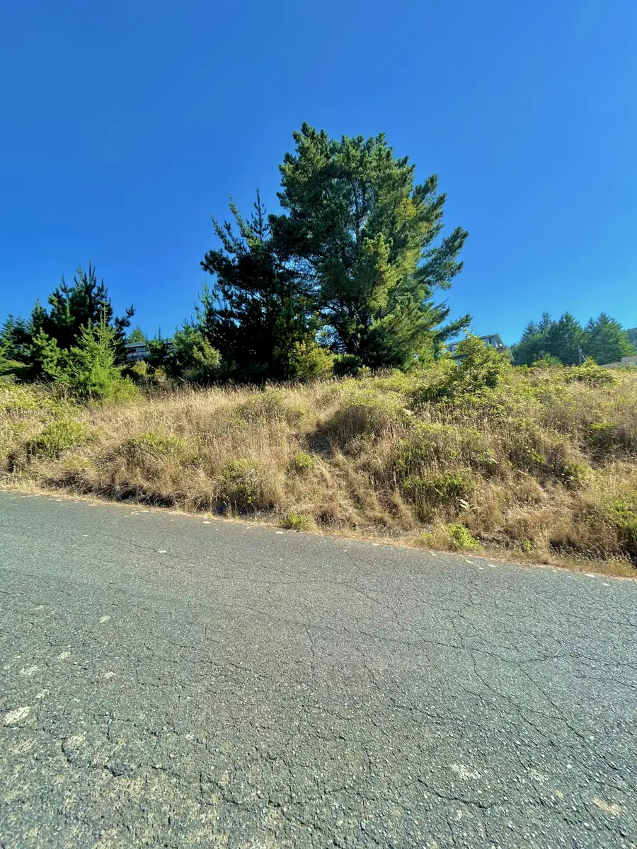 45 Vista Road, Shelter Cove, CA 95589 - #2