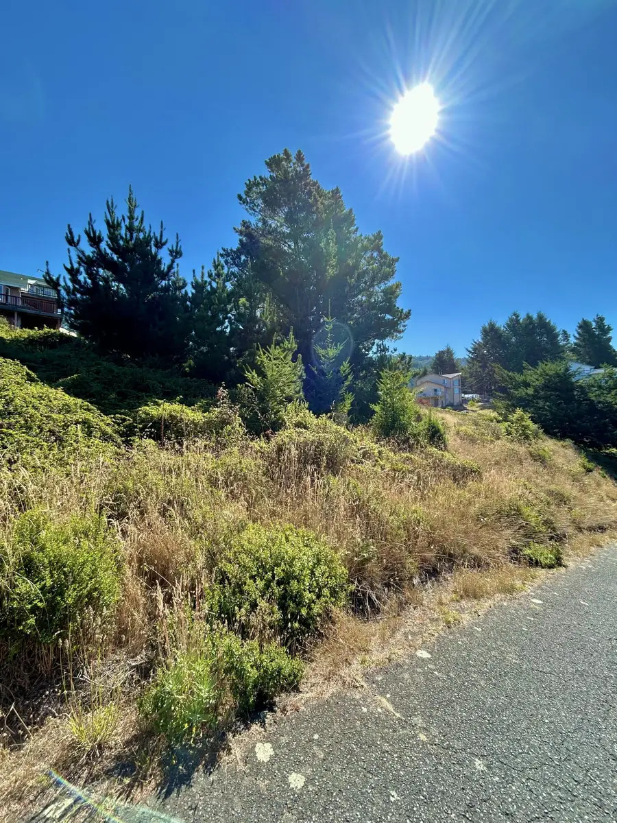 45 Vista Road, Shelter Cove, CA 95589 - #3