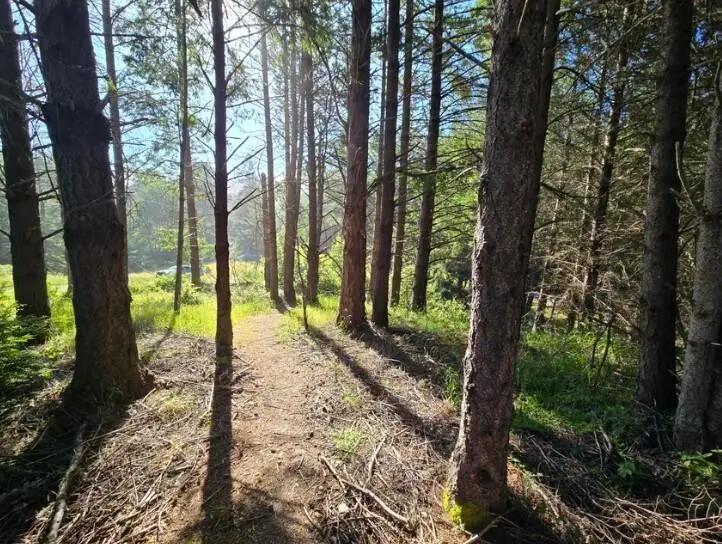 498 & 508 Humboldt Loop, Shelter Cove, CA 95589 - #2