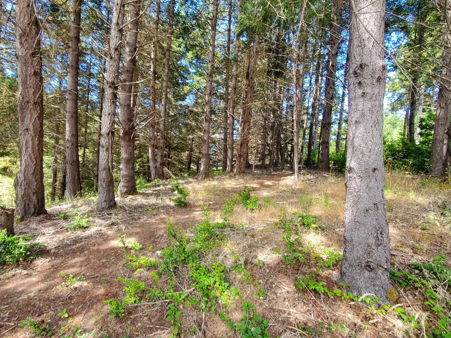 498 & 508 Humboldt Loop, Shelter Cove, CA 95589 - #3