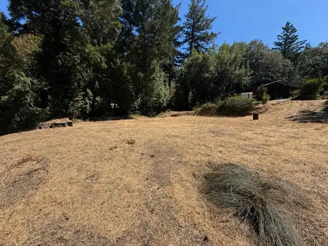 164 Plymouth Acres Road, Miranda, CA 95553 - #3