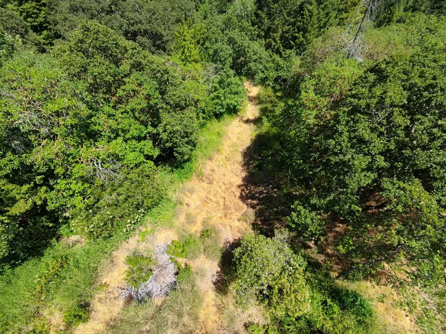 308 W Coast Road, Redway, CA 95560 - #3