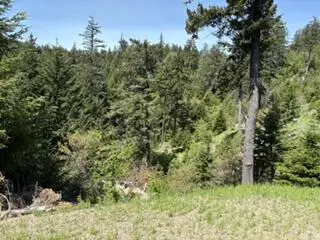 12350 Forest Service Rt 1 Road, Kneeland, CA 95549