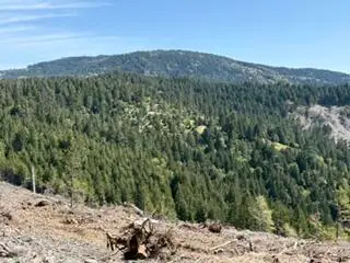 12350 Forest Service Rt 1 Road, Kneeland, CA 95549 - #2