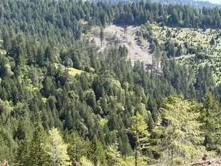 12350 Forest Service Rt 1 Road, Kneeland, CA 95549 - #3