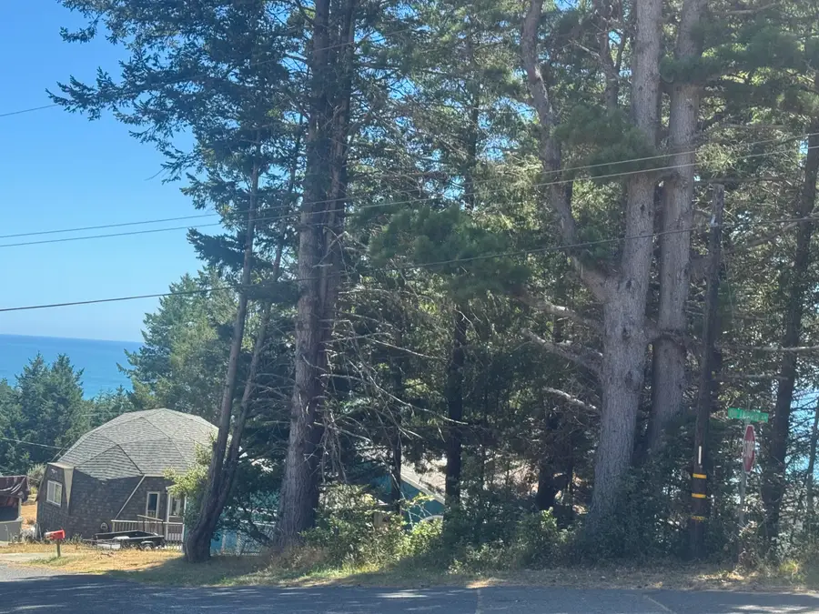 265 Seafoam Drive, Shelter Cove, CA 95589 - #2