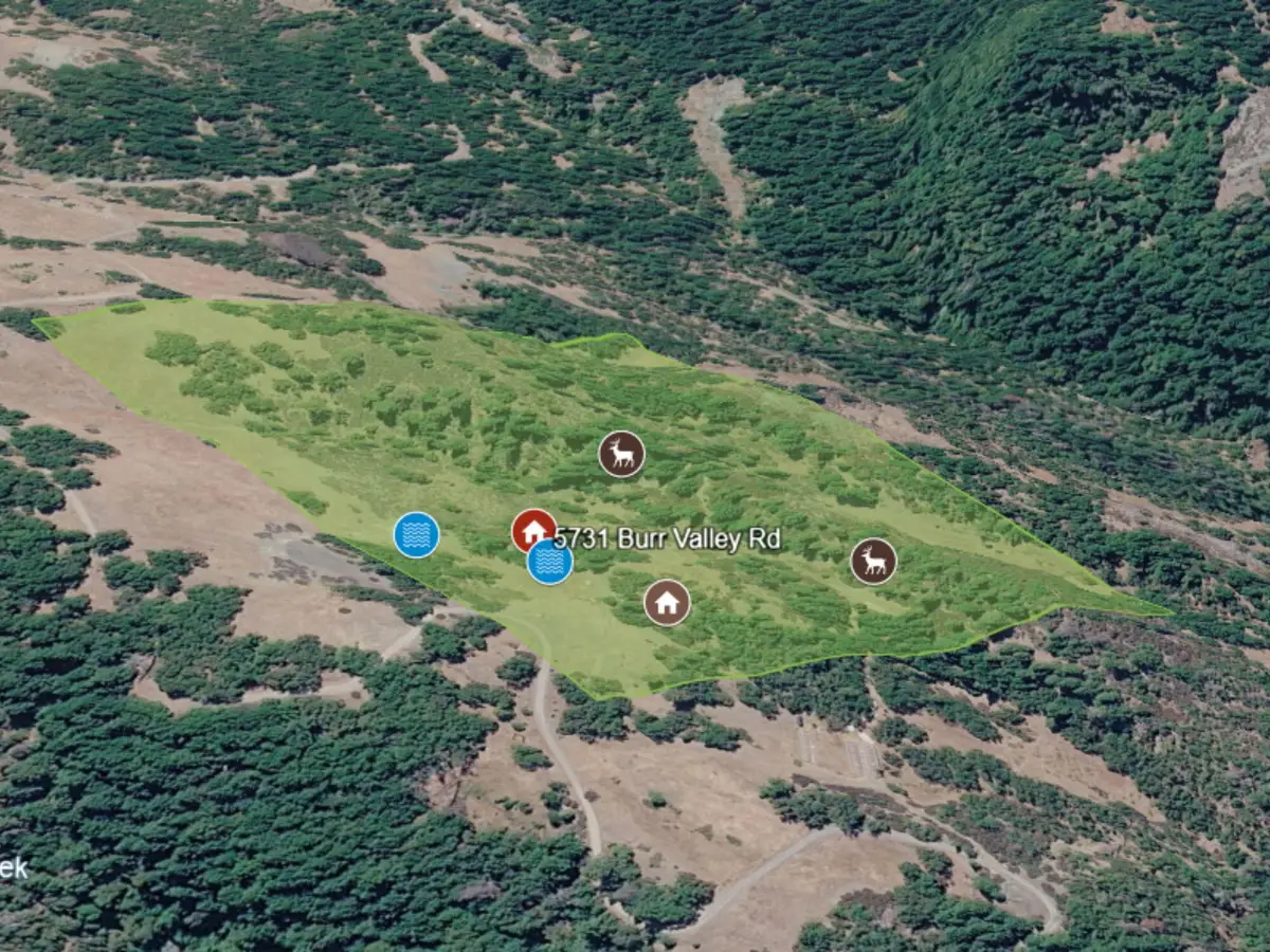 46 +/- Burr Valley Road, Bridgeville, CA 95526 - #1