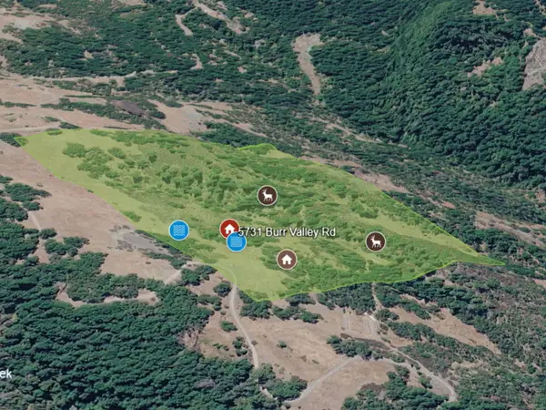 46 +/- Burr Valley Road, Bridgeville, CA 95526