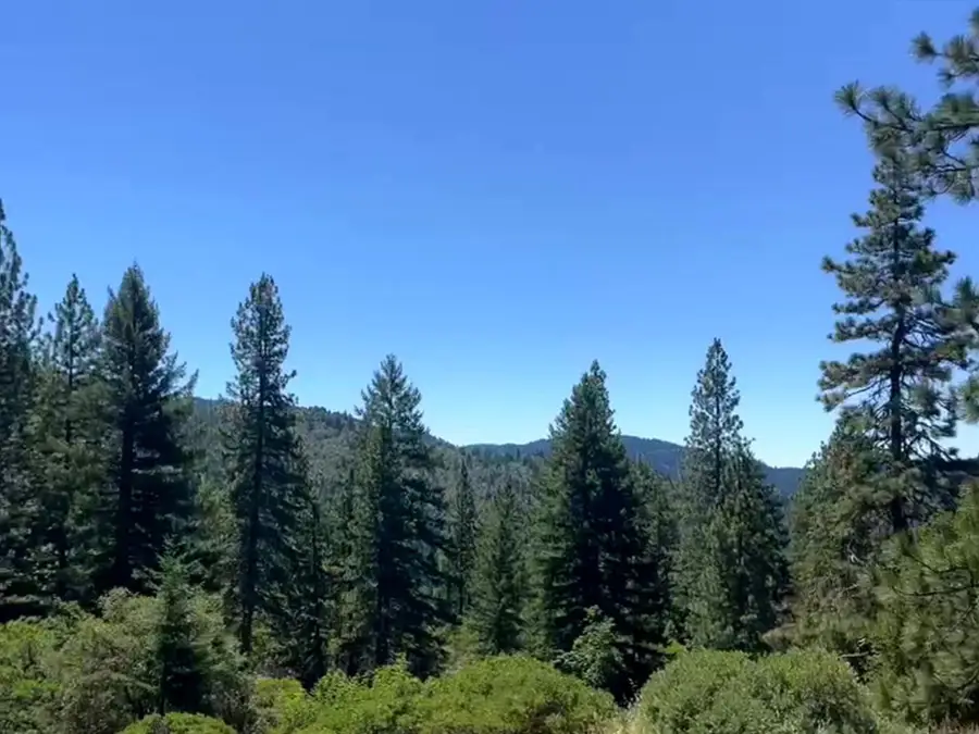 46 +/- Burr Valley Road, Bridgeville, CA 95526 - #2