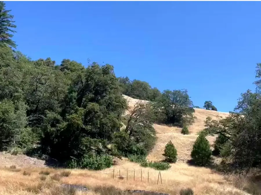 46 +/- Burr Valley Road, Bridgeville, CA 95526 - #3
