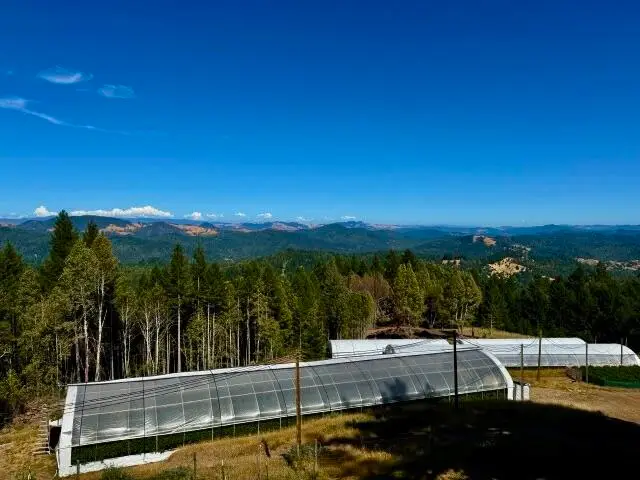 9320 Wilder Ridge Road, Garberville, CA 95542 - #1
