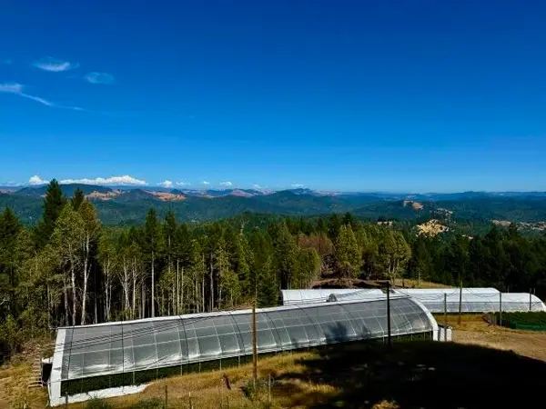 9320 Wilder Ridge Road, Garberville, CA 95542