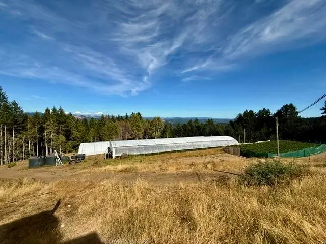 9320 Wilder Ridge Road, Garberville, CA 95542 - #2