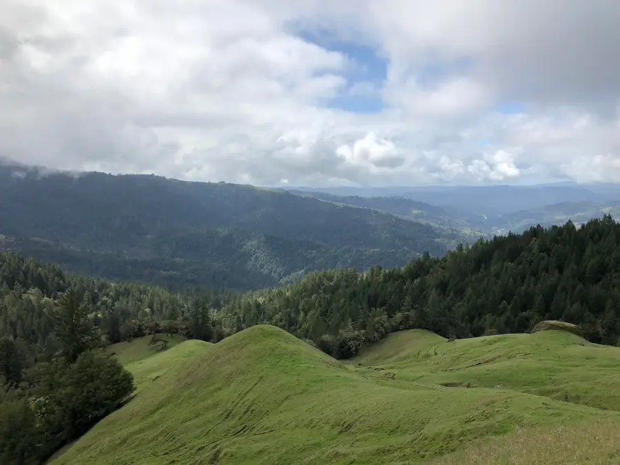 19624 Dyerville Loop Road, Phillipsville, CA 95559 - #2