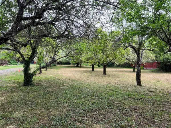 236 &240 Orchard Way, Myers Flat, CA 95554