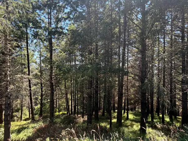 178 Parkview Road, Shelter Cove, CA 95589